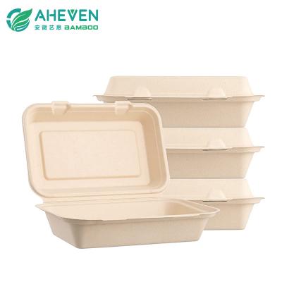 Bagasse lunch box